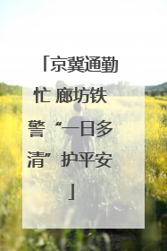 京冀通勤忙 廊坊铁警“一日多清”护平安