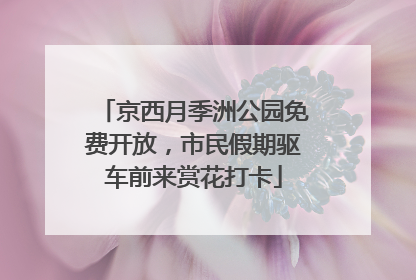 京西月季洲公园免费开放，市民假期驱车前来赏花打卡