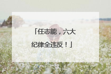 任志能，六大纪律全违反！