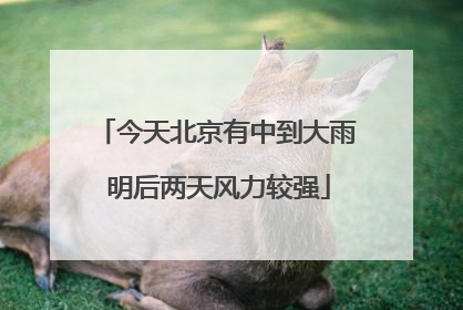 今天北京有中到大雨 明后两天风力较强
