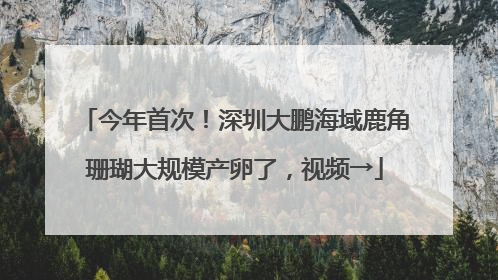 今年首次！深圳大鹏海域鹿角珊瑚大规模产卵了，视频→