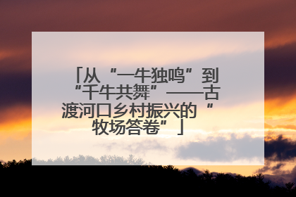 从“一牛独鸣”到“千牛共舞”——古渡河口乡村振兴的“牧场答卷”