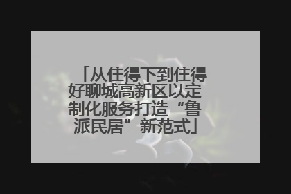 从住得下到住得好聊城高新区以定制化服务打造“鲁派民居”新范式