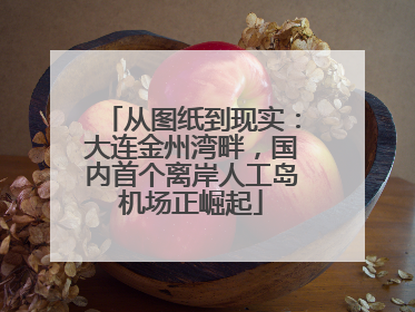 从图纸到现实：大连金州湾畔，国内首个离岸人工岛机场正崛起