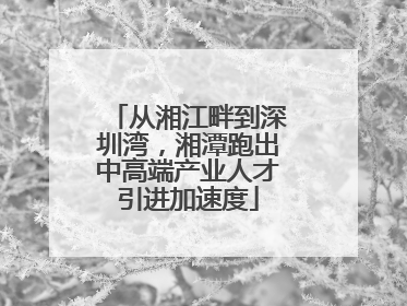 从湘江畔到深圳湾，湘潭跑出中高端产业人才引进加速度
