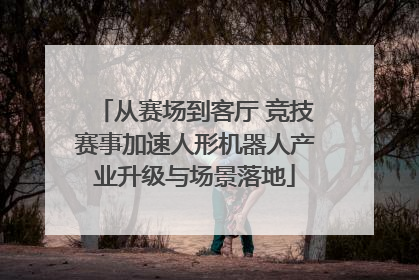 从赛场到客厅 竞技赛事加速人形机器人产业升级与场景落地