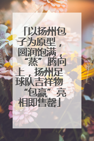 以扬州包子为原型，圆润饱满，“蒸”腾向上，扬州足球队吉祥物“包赢”亮相即售罄