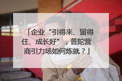 企业“引得来、留得住、成长好”，普陀营商引力场如何炼就？