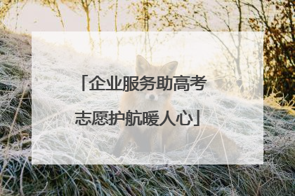 企业服务助高考 志愿护航暖人心