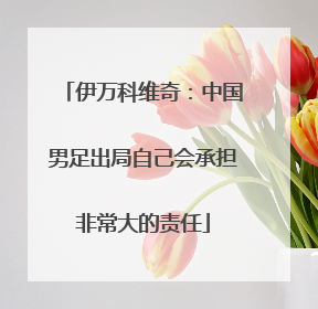 伊万科维奇：中国男足出局自己会承担非常大的责任