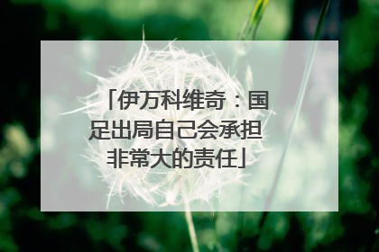 伊万科维奇：国足出局自己会承担非常大的责任