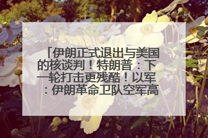 伊朗正式退出与美国的核谈判！特朗普：下一轮打击更残酷！以军：伊朗革命卫队空军高层指挥系统已被击垮