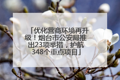 优化营商环境再升级！烟台市公安局推出23项举措，护航348个重点项目