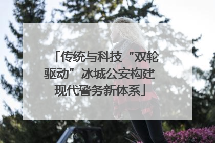传统与科技“双轮驱动”冰城公安构建现代警务新体系