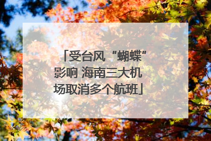 受台风“蝴蝶”影响 海南三大机场取消多个航班
