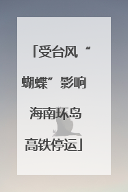受台风“蝴蝶”影响 海南环岛高铁停运