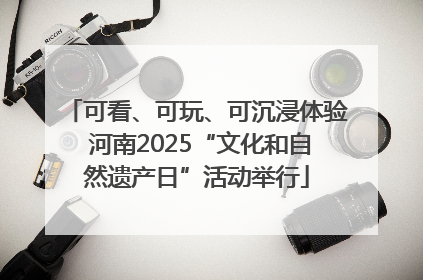 可看、可玩、可沉浸体验 河南2025“文化和自然遗产日”活动举行