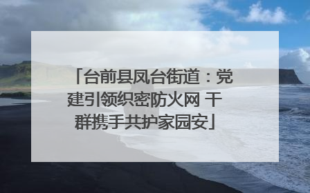 台前县凤台街道：党建引领织密防火网 干群携手共护家园安