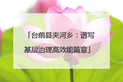 台前县夹河乡：谱写基层治理高效能篇章