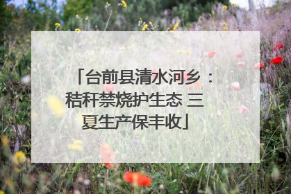 台前县清水河乡：秸秆禁烧护生态 三夏生产保丰收