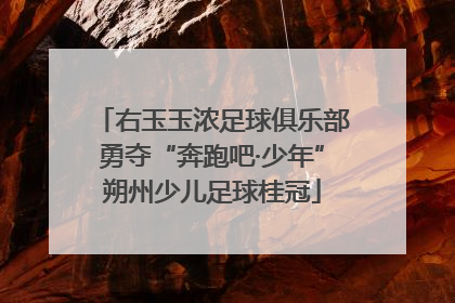 右玉玉浓足球俱乐部勇夺“奔跑吧·少年”朔州少儿足球桂冠
