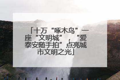 十万“啄木鸟”一座“文明城”，“爱泰安随手拍”点亮城市文明之光