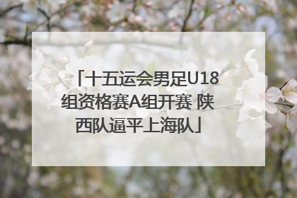 十五运会男足U18组资格赛A组开赛 陕西队逼平上海队