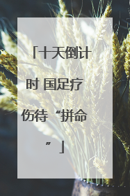 十天倒计时 国足疗伤待“拼命”
