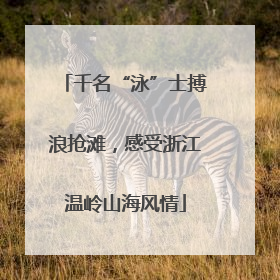 千名“泳”士搏浪抢滩，感受浙江温岭山海风情