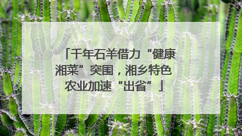 千年石羊借力“健康湘菜”突围，湘乡特色农业加速“出省”