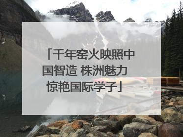 千年窑火映照中国智造 株洲魅力惊艳国际学子