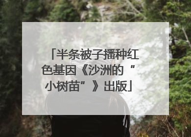 半条被子播种红色基因《沙洲的“小树苗”》出版