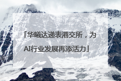 华曦达递表港交所，为AI行业发展再添活力