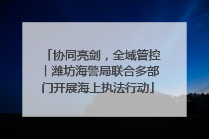 协同亮剑，全域管控丨潍坊海警局联合多部门开展海上执法行动