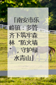 南安市乐峰镇：多管齐下筑牢森林“防火墙”，守护绿水青山