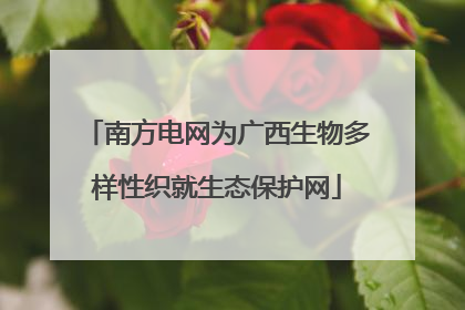 南方电网为广西生物多样性织就生态保护网