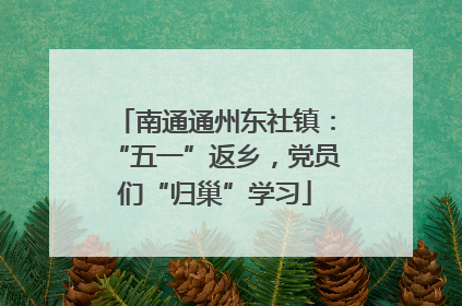 南通通州东社镇：“五一”返乡，党员们“归巢”学习