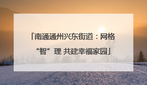 南通通州兴东街道：网格“智”理 共建幸福家园
