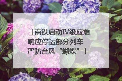 南铁启动Ⅳ级应急响应停运部分列车 严防台风“蝴蝶”