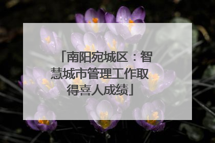 南阳宛城区：智慧城市管理工作取得喜人成绩