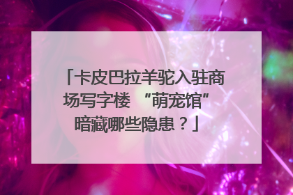 卡皮巴拉羊驼入驻商场写字楼 “萌宠馆”暗藏哪些隐患？