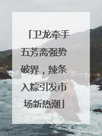 卫龙牵手五芳斋强势破界，辣条入粽引发市场新热潮