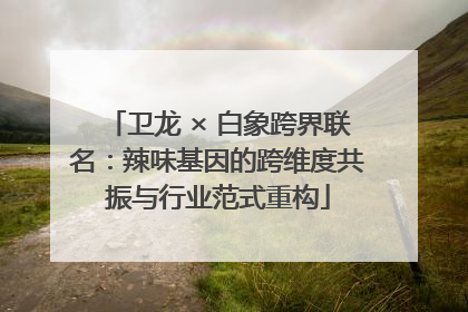 卫龙 × 白象跨界联名：辣味基因的跨维度共振与行业范式重构