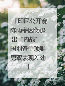 印尼公开赛陈雨菲因伤退出“内战”，国羽各单项唯男双表现差劲