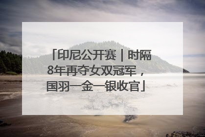 印尼公开赛｜时隔8年再夺女双冠军，国羽一金一银收官