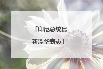 印尼总统最新涉华表态