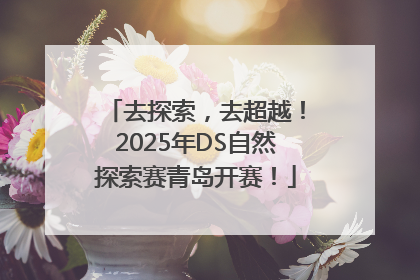 去探索，去超越！2025年DS自然探索赛青岛开赛！