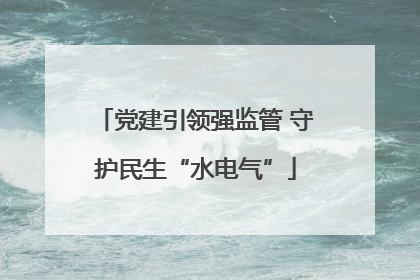 党建引领强监管 守护民生“水电气”