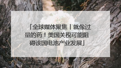 全球媒体聚焦丨就像过量的药！美国关税可能阻碍该国电池产业发展