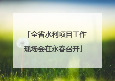 全省水利项目工作现场会在永春召开